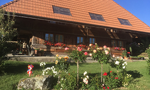 Vrenis Haus in Dieterswil
