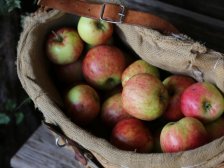 Apfel