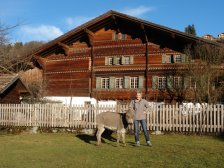 Berner Oberländer Bauernhaus