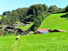 Ausblick vom Berner Oberländer Bauernhaus