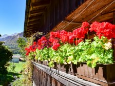 Asublick vom Balkon