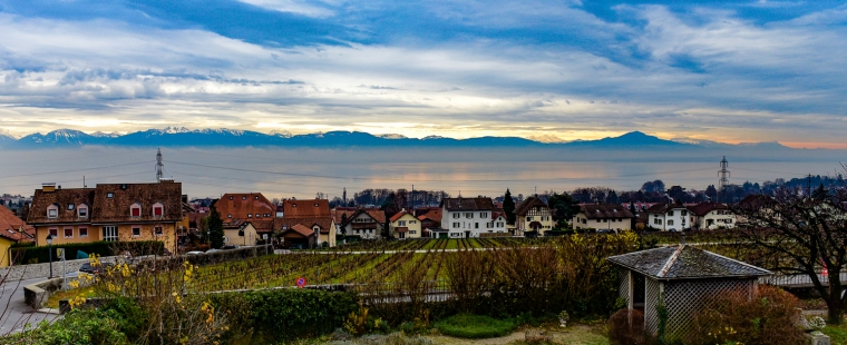 Aussicht auf Winzerdörfchens Mont-sur-Rolle