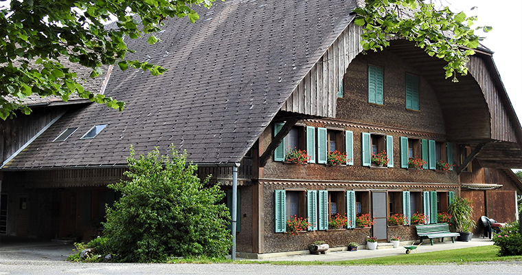Susanne Friedli, Rüedisbach BE