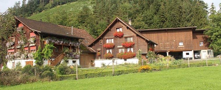 Renate Gschwend, Oberriet SG